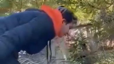 Photo of ВИДЕО Девојка се снима на ТикТок како во ЗОО Скопје ги малтретира животните