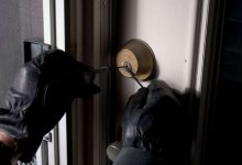 Photo of Полицијата уапси кумановец кој има 28 универзални клучеви за отворање брави