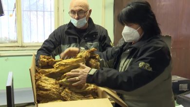 Photo of Стопанска комора: Штетни се изјавите на некои пратеници за дозволениот увоз на тутун
