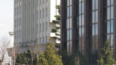 Photo of Д-р Пешевска имала стомачен вирус и температура, тоа е причината да не дојде на првото рочиште за „Онкологија”