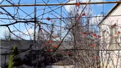 Photo of Видео: Зеленски повикува  на итен прекин на огнот, проруските сепаратисти обвинуваат за гранатирање на Доњецк