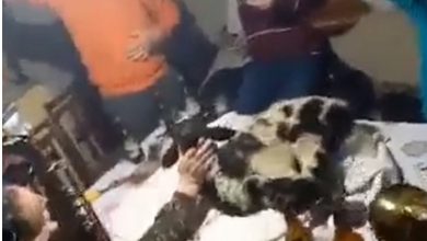 Photo of Николовски згрозен од монструозниот чин: Инспекторот на АХВ ќе биде санкциониран