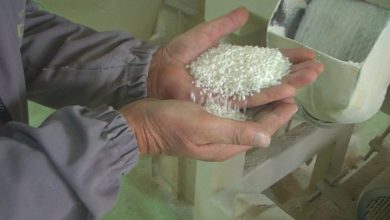 Photo of Николовски: Дополнителни три денари за откупот на јаболка и ориз