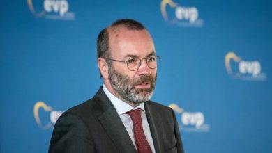 Photo of Шефот на ЕПП обвини дека Алтернатива за Германија затскриено работи по неонацистички диктат