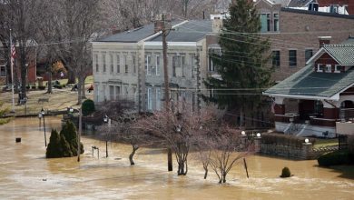 Photo of Бројот на загинати во поплавите во Кентаки се зголеми на 25