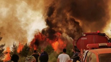 Photo of Вечерва пожари на повеќе локации низ државата