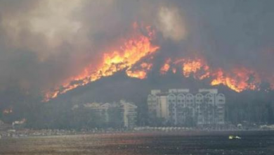 Photo of (Видео) Голем пожар во Мармарис во близина на хотели и згради