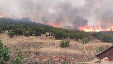 Photo of Се шири пожарот помеѓу Гевгелија и Богданци, загрозено селото Ѓавато и ветерниците