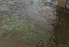 Photo of Поплавени куќи, ниви и објекти во Ресенско