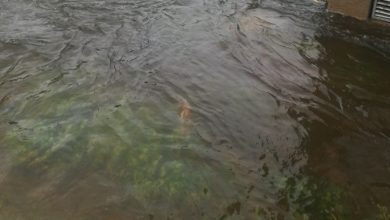 Photo of Поплавени куќи, ниви и објекти во Ресенско