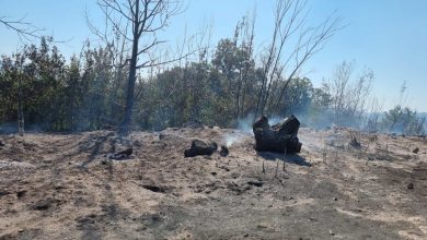 Photo of Пожарот во Беровско и понатаму се гасне