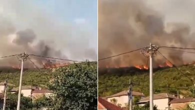 Photo of ВИДЕО: Голем пожар помеѓу Гевгелија и Богданци – граѓаните бараат авион и хеликоптер за гаснење на пожарот