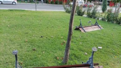 Photo of ЈП „Паркови и зеленило”: Остро го осудуваме вандализмот во паркот „Македонија”