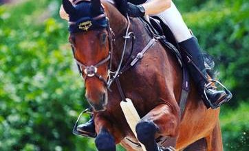 Photo of Прв „Августовски коњички турнир“ и редовно коло во прескокнување пречки утре во Маџари