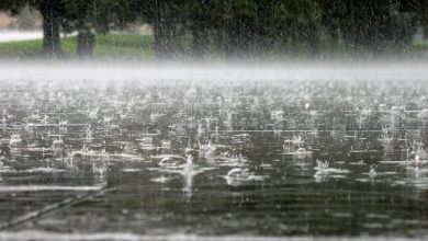 Photo of Нестабилно време со пороен дожд и грмежи