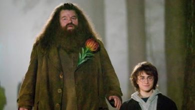Photo of Почина голема ѕвезда на популарниот филм „Хари Потер“