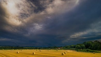 Photo of (Видео) Закон за Задолжително Осигурување: Нема компромис со климатските промени – твоја одговорност е да го заштитиш сопственото производство и добиток!