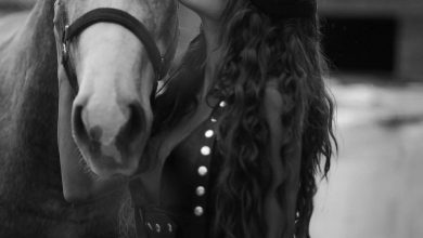 Photo of Фото: Накова јава само расни коњи