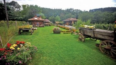 Photo of EУ барa дополнителни информации од Владата за ИПАРД-програмата