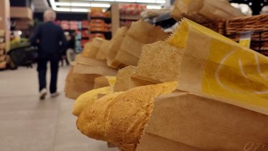 Photo of Поскапува лебот