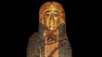 Photo of Во Египет пронајдена мумија прекриена со злато