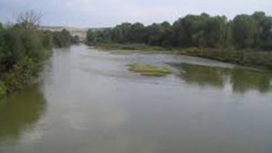 Photo of Нивото на Вардар трипати над просекот