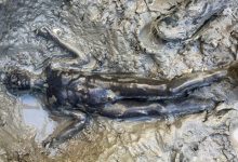 Photo of Во Рим пронајдена древна мермерна статуа на Херкул