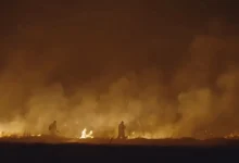 Photo of Пожар помеѓу селото Миладиновци и рафиниријата ОКТА