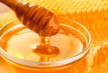 Photo of Дали трудниците смеат да јадат мед?