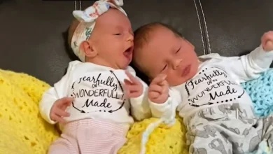 Photo of Близнаци родени 30 години откако биле замрзнати како ембриони, растат сосем нормално