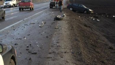 Photo of Усмртена мечка на патот Тетово-Скопје, возачот повреден