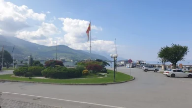 Photo of Социјалните мрежи поттикнуваат врсничко насилство, сметаат надлежните, МОН предлага да се направи итна проценка на безбедносните ризици
