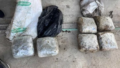 Photo of ВИДЕО: Сузбиена криминална група која вршела продажба на кокаин, амфетамин и марихуана,во неа и полицаец од Берово