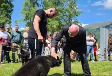 Photo of Одржана 10. државна изложба на македонско овчарско куче караман