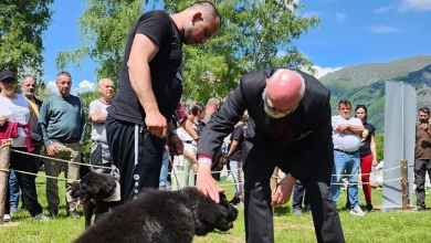 Photo of Одржана 10. државна изложба на македонско овчарско куче караман