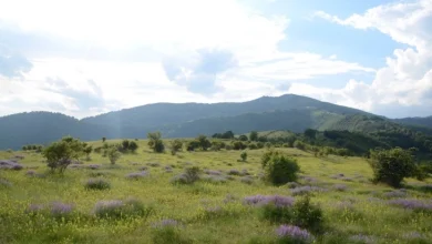 Photo of Претпладне сончево, попладне нестабилно со дожд и грмежи