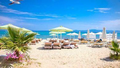 Photo of (ВИДЕО) Во Ханиоти 2-годишно дете од Србија го однесоа брановите два километри од брегот