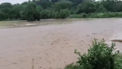 Photo of Во прекин сообраќајот на патот Берово – Виница, поради невремето критично на влезот во Смојмирово