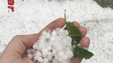 Photo of (ВИДЕО) Град со големина на орев го погоди Охрид