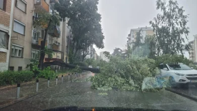 Photo of ГАЛЕРИЈА: Поплавени подруми, улици и подвозници, паднати дрвја и скршени бандери по невремето во Скопје