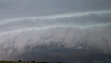 Photo of (ВИДЕО) Торнадо го погоди Милано