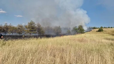 Photo of Стојанов: Повторно пожар во Гоцева шума, постои сомнеж дека некој намерно ги пали боровите дрвца