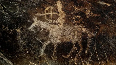 Photo of Мажите биле ловци, а жените собирачи на храна. Или не?