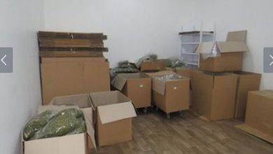 Photo of Мицкоски најавува нови апсења за марихуаната: Останаа уште неколку битанги кои ќе се најдат зад решетки