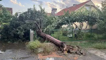 Photo of ГАЛЕРИЈА: Четириесетина штети пријавени од невремето во Скопје, паднати дрва и бандери, оштетени кровови
