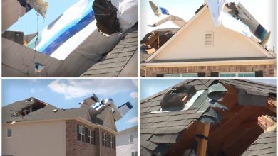 Photo of (ВИДЕО) Приватен авион падна врз покрив на куќа