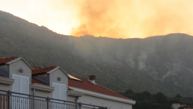 Photo of (ВИДЕО) Голем пожар кај Дубровник
