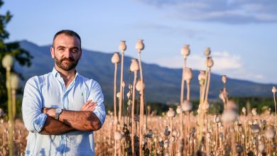Photo of Успешната приказна на Александар: го враќаме афионот на листата на значајни стратешки култури