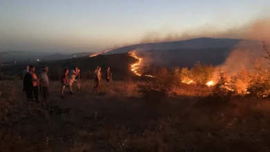 Photo of Пожар на патот Штип – Радовиш, гори нискостеблеста шума, грмушки и трева