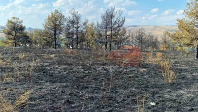 Photo of ЦУК: Девет активни пожари низ државава